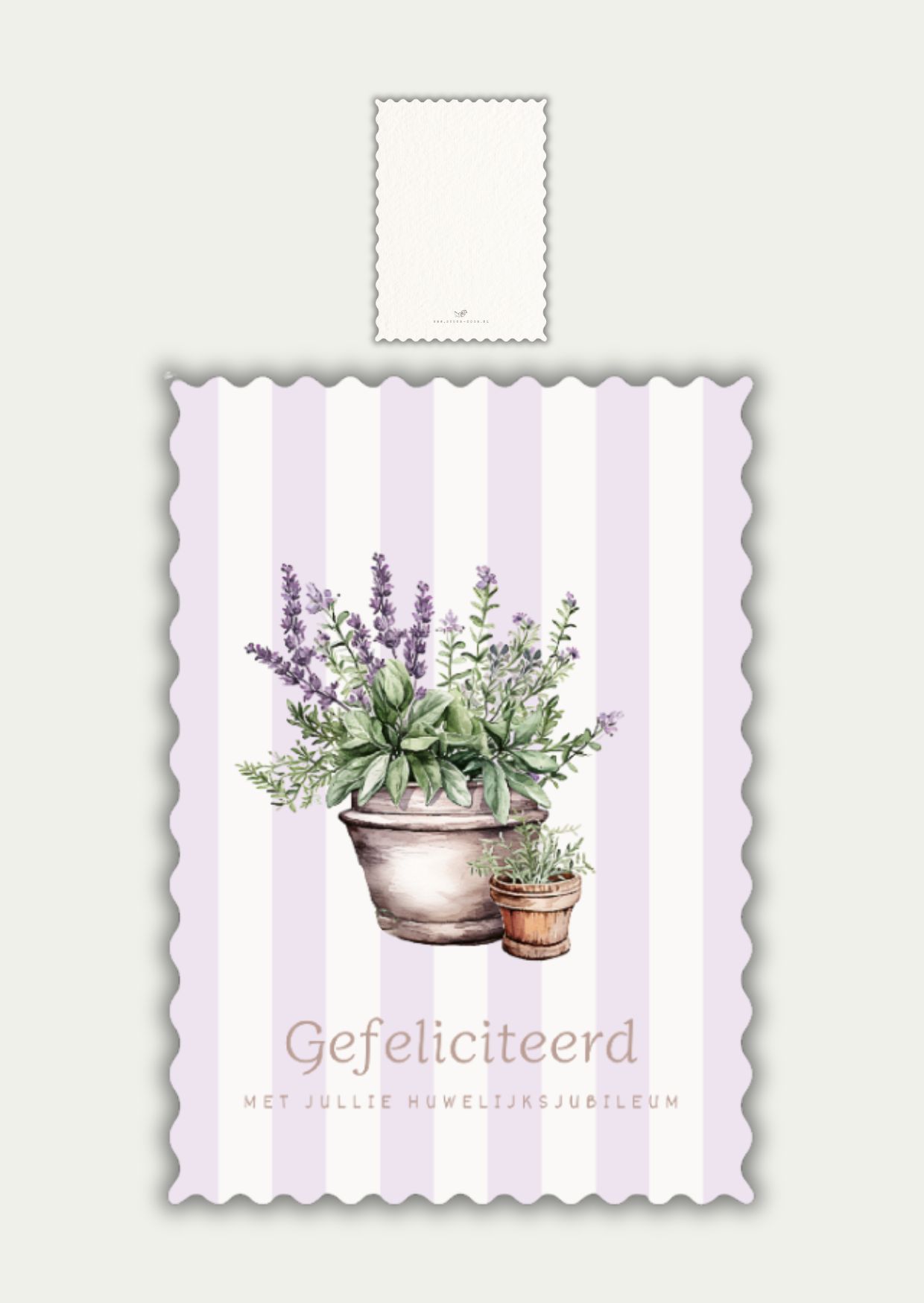 Zomer 2026 (6)
